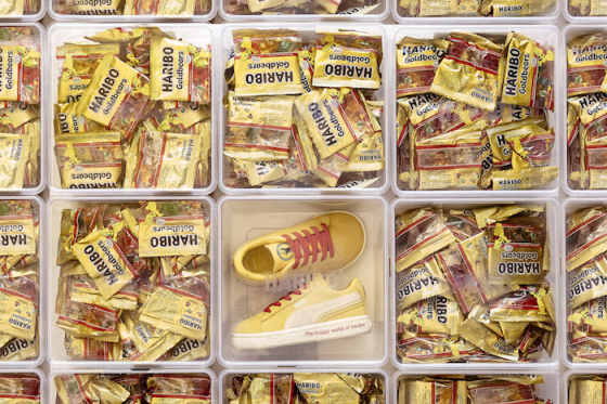 /media/17389/pumaharibojpg