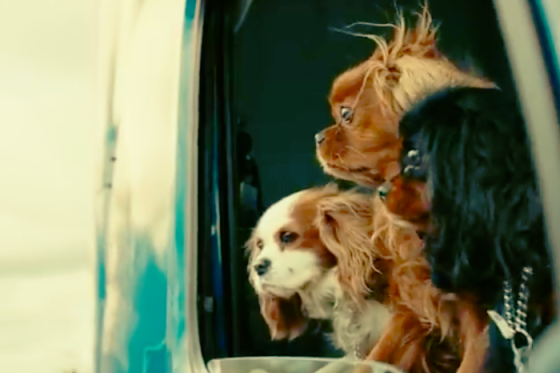 /media/17932/volvotrucks