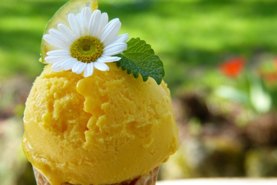 /media/25349/yello_zmrzlina