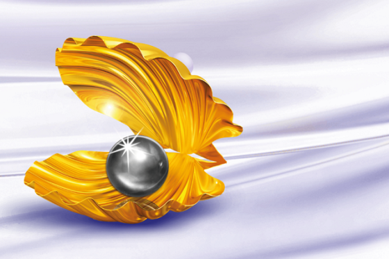 /media/5465/cernaperla