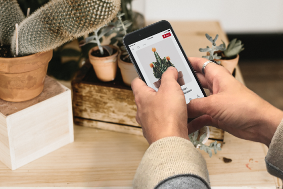 /media/7473/pinterest_slider