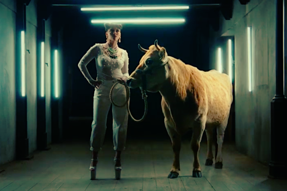 /media/16651/bigshockcoffee