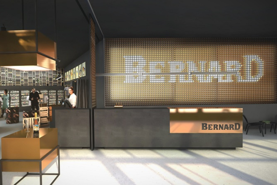 /media/21135/bernard_vizualizace