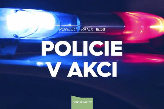 /media/1181/policie-v-akci-logo-2