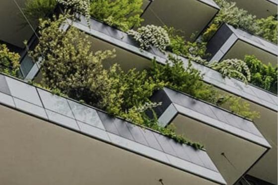 /media/1old1edq/czgbc