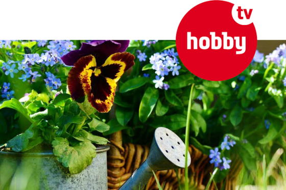 /media/5978/hobby-tv