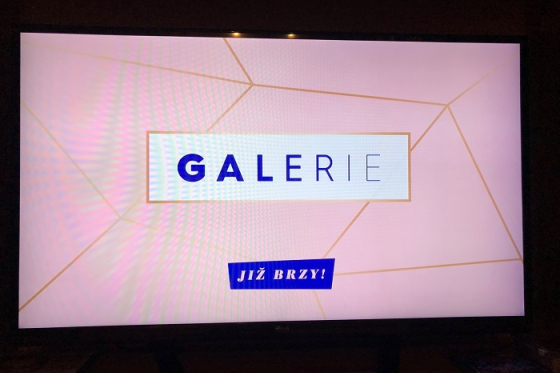 /media/6185/galerie-tv