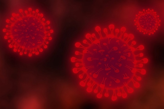 /media/12057/koronavirus