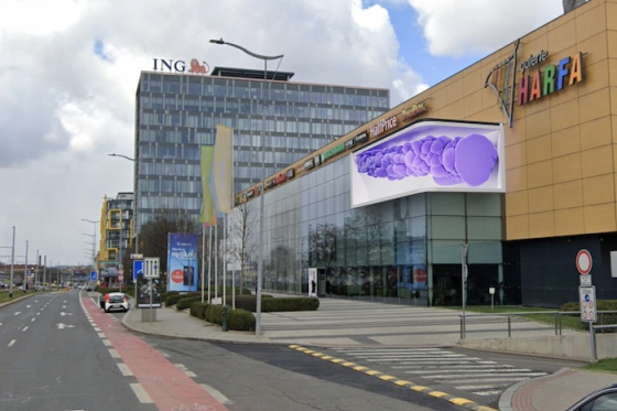 /media/xv1bvaqe/19021-harfa-českomoravská