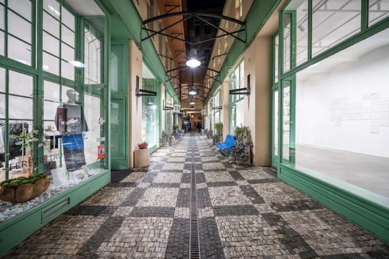 /media/bpgfcl00/hrzanskapasaz_foto-tomáš-rubín