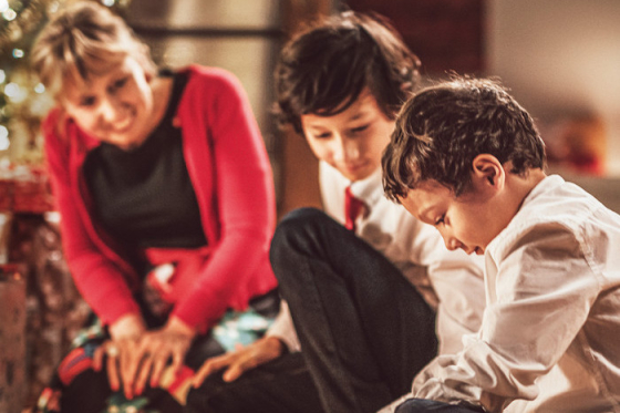 /media/15000/budimanovi