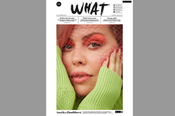 /media/24036/what_cover