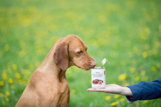 /media/3738/brit_foto