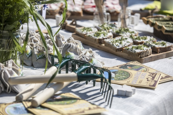 /media/4087/lucina_2018_vysevlouky