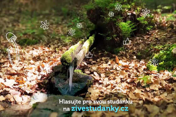 /media/4290/zive-studanky