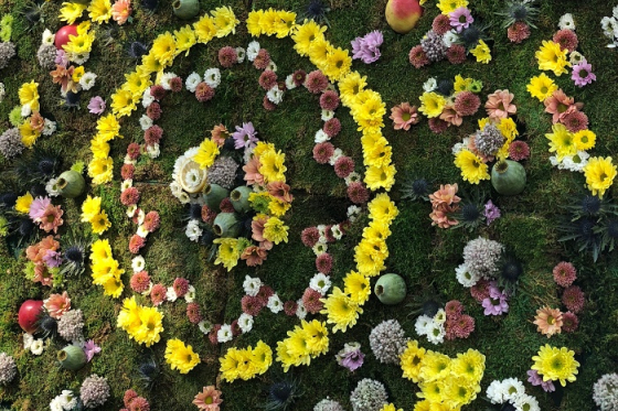 /media/4900/birellbotanicals_mandala_slider