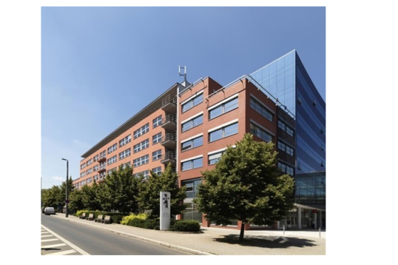 /media/5093/praha_vinice