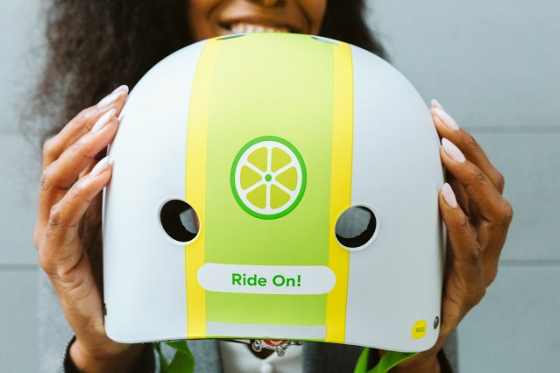 /media/8977/lime-helma