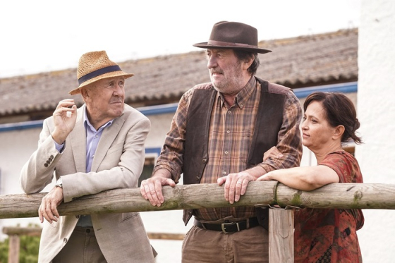 /media/14813/hvezdy-nad-hlavou