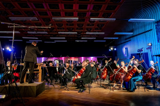 /media/5limv5iy/hollywood-night