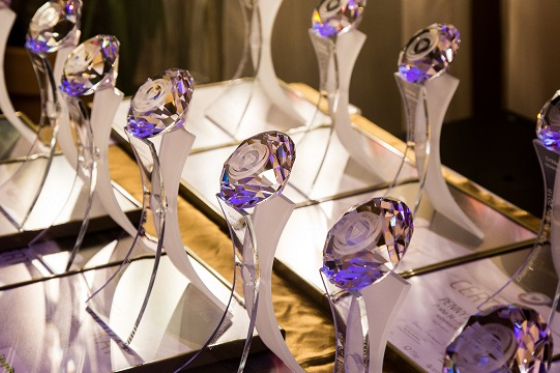 /media/7029/diamantová-liga-kvality-2018