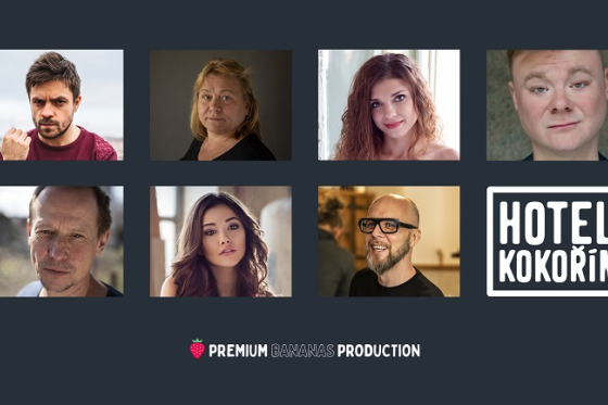 /media/15666/hotel_kokorin_serial