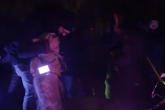 /media/23419/za-silvestr-bez-tyran