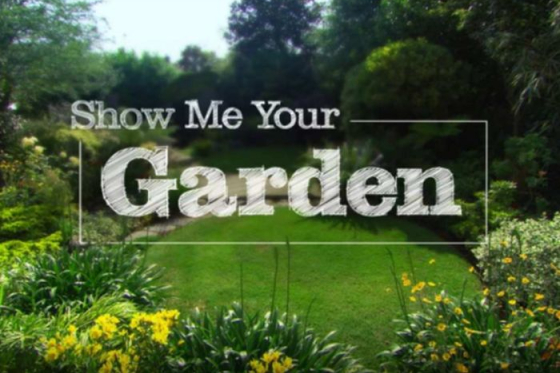 /media/23637/spektrum-home_amc