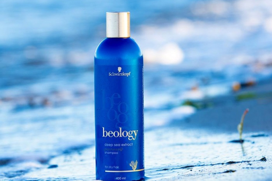 /media/4049/schwarzkopf