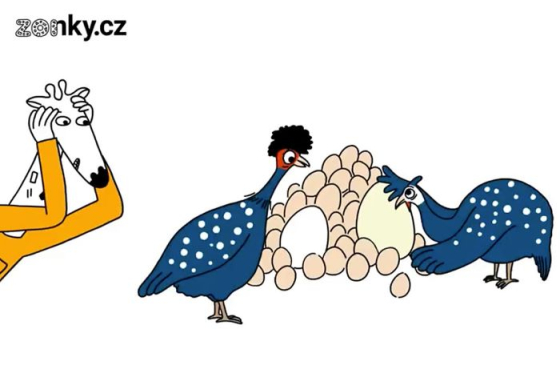 /media/bqvio51y/zonky_kampan