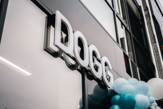 /media/gmvgmnl3/dogg_ricany