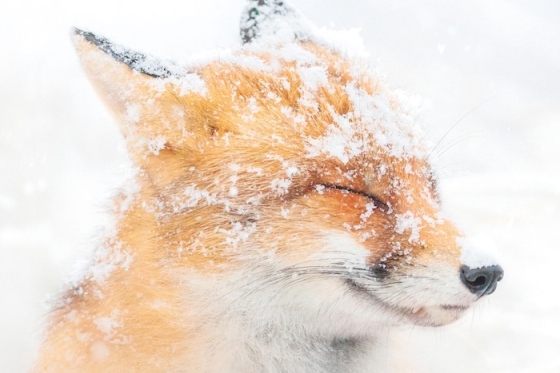 /media/7145/rajec_pramenita-voda_cz-slider