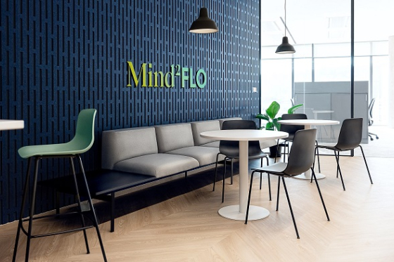 /media/20578/mind2flo