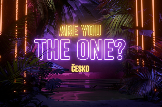 Are you the one