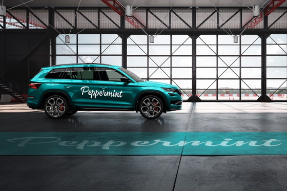 /media/8031/skodaauto