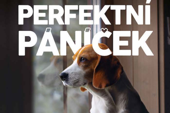 /media/14662/perfektní-páníček_vizuál-2-_slider