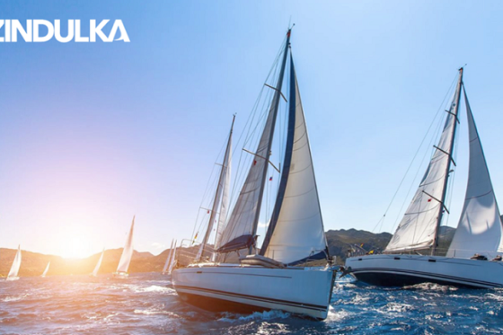 /media/2599/zindulka_vizual