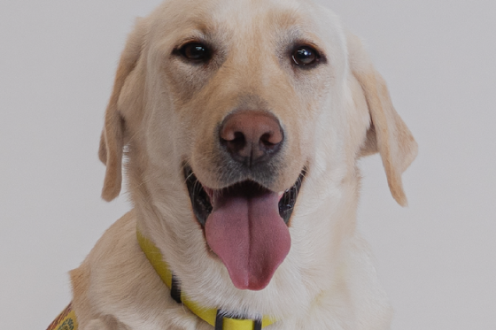 /media/xbjj0vn1/helppes_psjetej_slider