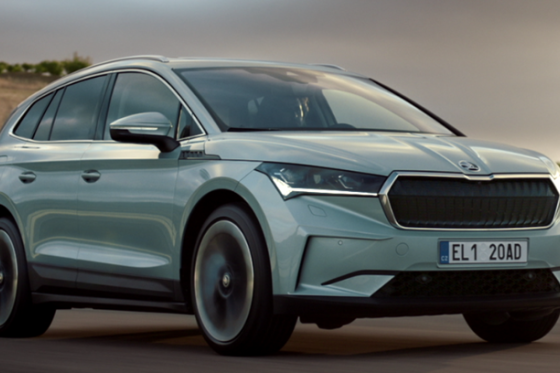 /media/ivxkklmt/sa_festival-hve-zdny-ch-chuti