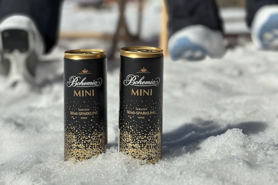 /media/qfgnhcik/bohemiamini