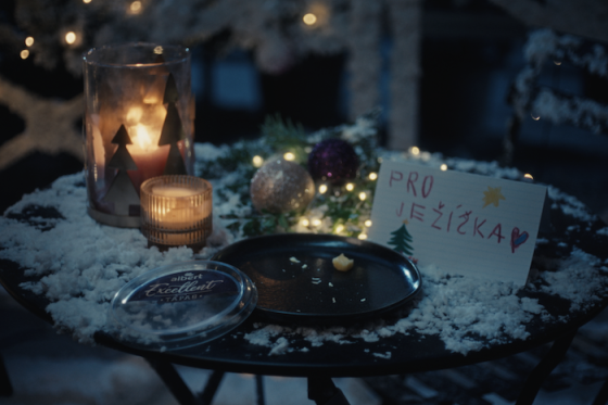 /media/w5vmbmtc/albert_vanoce