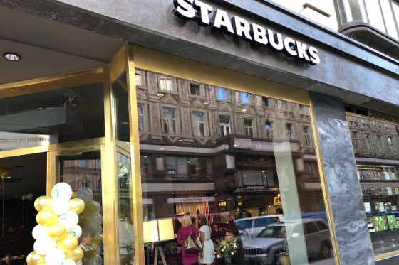 /media/5608/sturbacks