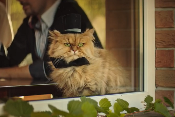 /media/6131/mmb_2018_svatba