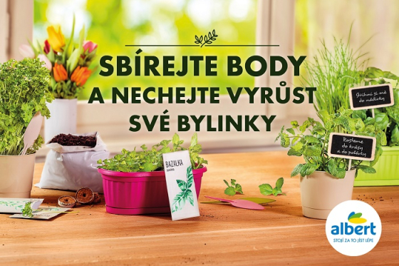 /media/7657/albert_sberatelskakampan_2019_jaro_pestitele