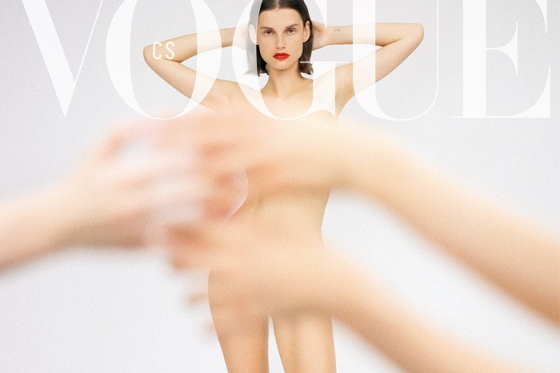 /media/9723/vogue-cs