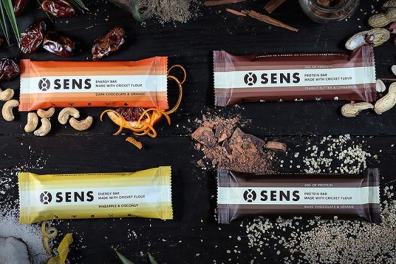 /media/9954/sens_tycinky