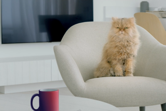 /media/11484/moneta-money-bank