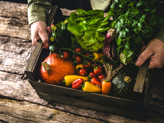 /media/12113/bio_shutterstock