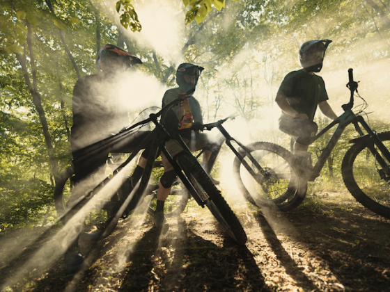 /media/25368/endorphinrepublic