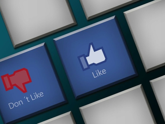 /media/idqpmu34/facebook_polarizace_pixabay